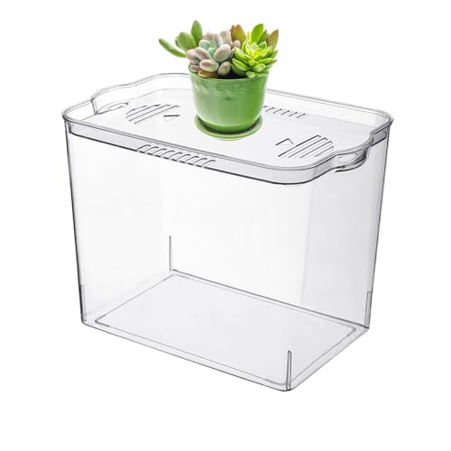 Coiroaoz Kleines Aquarium, klein, transparent, würfelförmig, kleine Fischschale für temporären Raum, Schildkrötenbecken, Desktop-Aquarium für Wasserwee, kleine Fische, Garnelen, Krabben von Coiroaoz