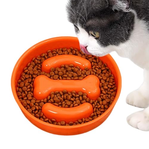 Coiroaoz Pet Slow Food Bowl | Fütterung Slow Dog Futternapf in Knochenform - Rutschfester Boden Pet Slow Feeder Dish für gesunde Ernährung für gewürfeltes Huhn, Beef Jerky von Coiroaoz