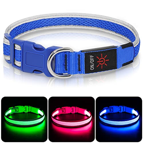 Leuchthalsband Hund(Halbleuchtend blau L), Colaseeme LED Hunde Leuchthalsband, Wasserdicht Hundehalsband Leuchtend, HundeleuchthalsbäNder Aufladbar für Pet Night Walking Safety, blau L von Colaseeme