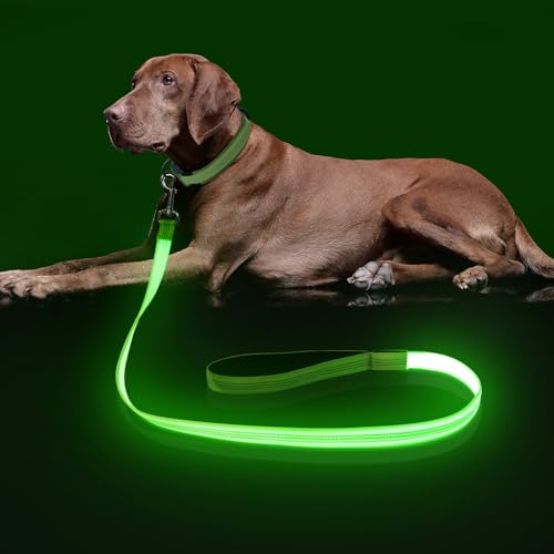 Colaseeme LED-Hundeleine, leuchtende Hundeleine, 1,2 m, wiederaufladbar über Micro-USB, Nylongewebe, leuchtende Sicherheitsstandard-Hundeleine für Hunde, Grün von Colaseeme