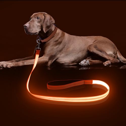 Colaseeme LED-Hundeleine, leuchtende Hundeleine, 1,2 m, wiederaufladbar über Micro-USB, Nylongewebe, leuchtende Sicherheitsstandard-Hundeleine für Hunde, Orange mit 3 reflektierenden Drähten von Colaseeme