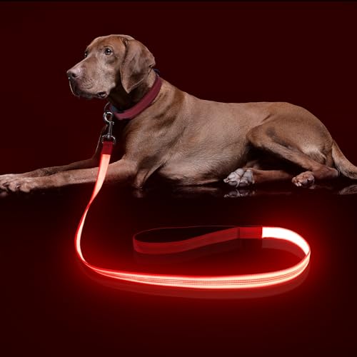 Colaseeme LED-Hundeleine, leuchtende Hundeleine, 1,2 m, wiederaufladbar über Micro-USB, Nylongewebe, leuchtende Sicherheitsstandard-Hundeleine für Hunde, Rot von Colaseeme