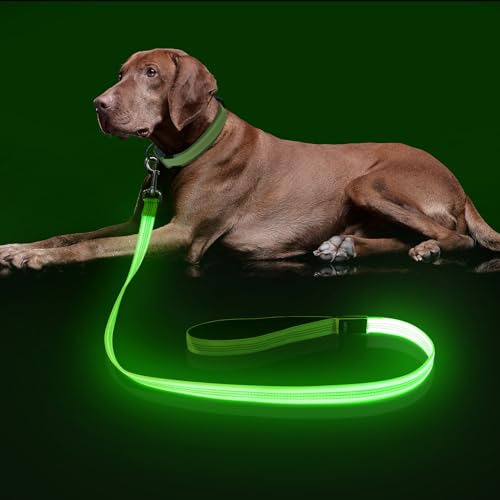 Colaseeme LED-Hundeleine, beleuchtet, 1,2 m, Micro-USB, wiederaufladbar, Nylon-Gurtband, leuchtet Sicherheitsstandard-Hundeleine für Hunde, Grün von Colaseeme