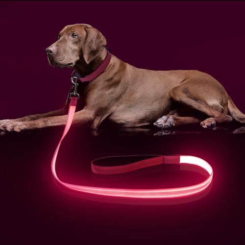 Colaseeme LED-Hundeleine, 120 cm, Micro-USB, wiederaufladbar, Nylon-Gurtband, leuchtend, Sicherheitsstandard-Hundeleine (Rosa, 120 cm) von Colaseeme