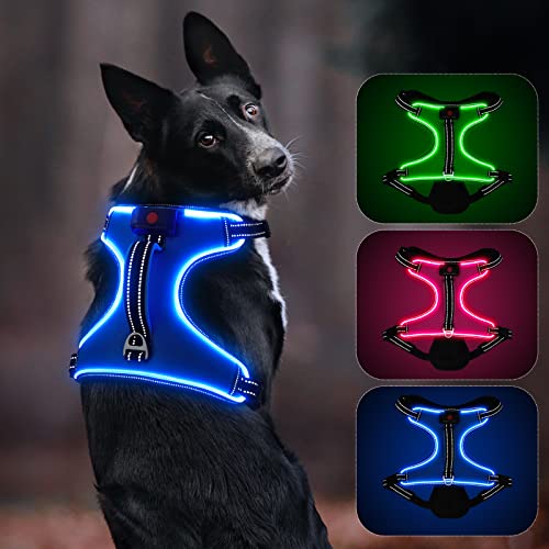 Colaseeme Wiederaufladbares LED-Hundegeschirr mit verstellbarem Griff, leuchtet im Dunkeln, für kleine bis große Rassen, Größe M, Blau von Colaseeme