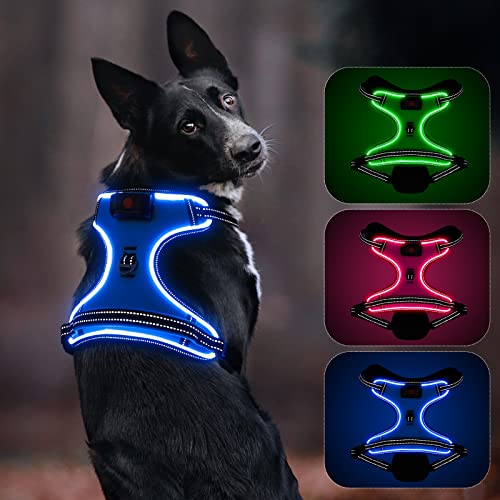 Colaseeme Wiederaufladbares LED-Hundegeschirr mit verstellbarem Griff, leuchtet im Dunkeln, für kleine bis große Rassen, Größe S, Blau von Colaseeme