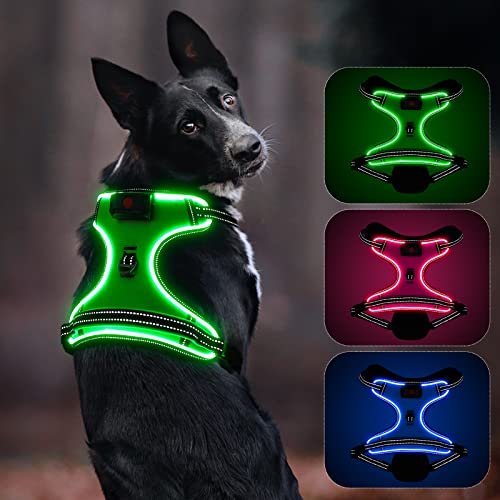 Colaseeme Wiederaufladbares LED-Hundegeschirr mit verstellbarem Griff, leuchtet im Dunkeln, für kleine bis große Rassen, Größe S, Grün von Colaseeme