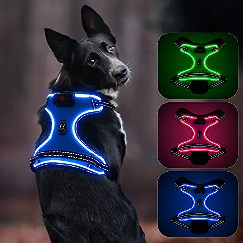 Leuchtendes Hundegeschirr, Colaseeme Anti Zug Hundegeschirr mit Reflexstreifen und Kontrolle Verstellbar Geschirr, LED Hundegeschirr Wieder, aufladbares Beleuchtetes Hundegeschirr, Blau S von Colaseeme