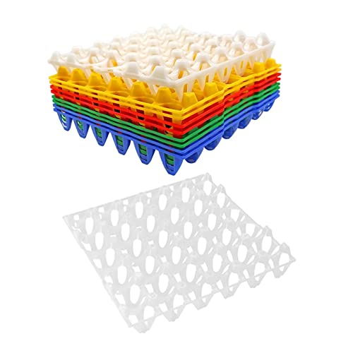 Colcolo 20 Stück Eierplatten zum Ausbrüten von 30 Eierablagen Farm Products Eieraufbewahrungsbehälter Inkubator Eierablage 30 Eierablageschale für Taubenente von Colcolo