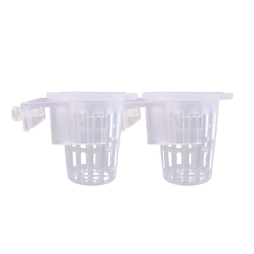 Colcolo 2X Aquarium Tank Anlage Halter Aquascaping Transparent Hintergrund Hohl Landschaftsbau Wasserpflanze Schüssel von Colcolo