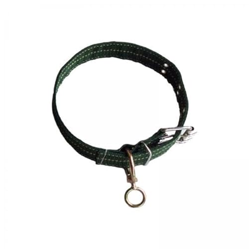 Colcolo 4X Hundehalsband mit Metallschnalle, Stoffgewebe, Dick, Breit, Langlebig, Verstellbar, Trainings Hundehalsband für Spaziergänge, Laufen, Wandern, von Colcolo