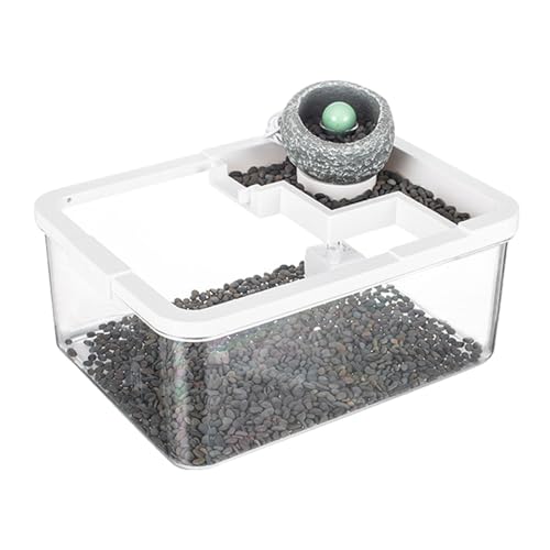 Colcolo Aquarium, Mini-Aquarium, Multifunktionspumpe, Fischschale, Mikro-Landschaft für Couchtisch, Wohnzimmer, Kommode, Büros, Schildkröte, Weiß von Colcolo