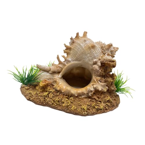 Colcolo Aquarium Ornament Korallen Dekor Lebensraum Dekoration Haustier Zubehör Statue für Lieferungen Wohnzimmer Hause Regal Shop, Muschel von Colcolo