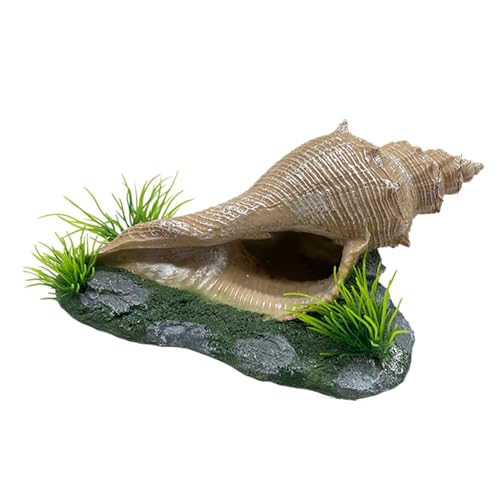 Colcolo Aquarium Ornament Korallen Dekor Lebensraum Dekoration Haustier Zubehör Statue für Lieferungen Wohnzimmer Hause Regal Shop, Rechteckige Muschel von Colcolo