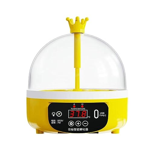 Colcolo Eierinkubator Geflügelbrüter, Kleiner USB-Temperaturregler für den Haushalt, 4 Eier, Eierbrüter, Hühnerbrutschrank, digitales Geflügel für Vögel, automatisch von Colcolo