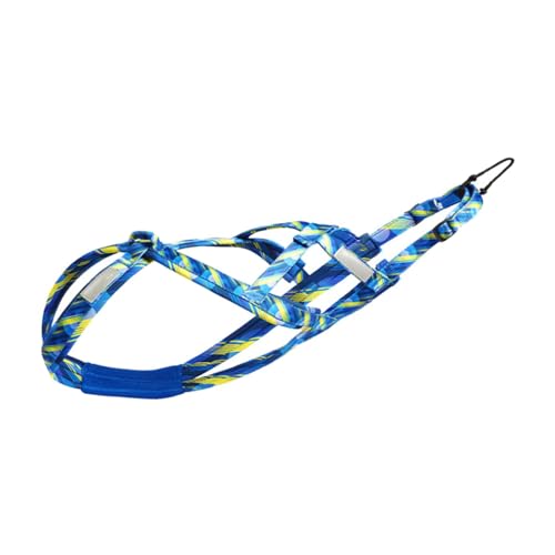 Colcolo Hunde-Laufgeschirr, Zuggeschirr, Geschwindigkeitstraining, Sport, Profi, Schlittengeschirr, Blau XL von Colcolo