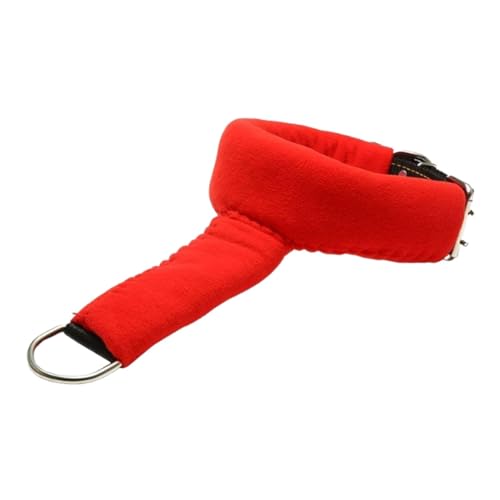 Colcolo Hundehalsband, verstellbar, für Training, Haustierhalsband, Dicke, stilvoll, modisch, modern, mit D-, mit Schnalle, für Spiel im Freien, M Colcolo Hundehalsband, verstellbar, für Training, Haustierhalsband, Dicke, stilvoll, modisch, modern, mit D-, mit Schnalle, für Spiel im Freien, M von Colcolo