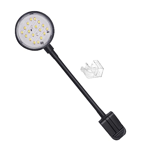 Colcolo LED-Aquarium-Licht zum Anklippen, LED-Pflanzen wachsen Lichter, Aquatische Süßwasser-Aquarium-Lampen, wasserdicht, Schwarz von Colcolo