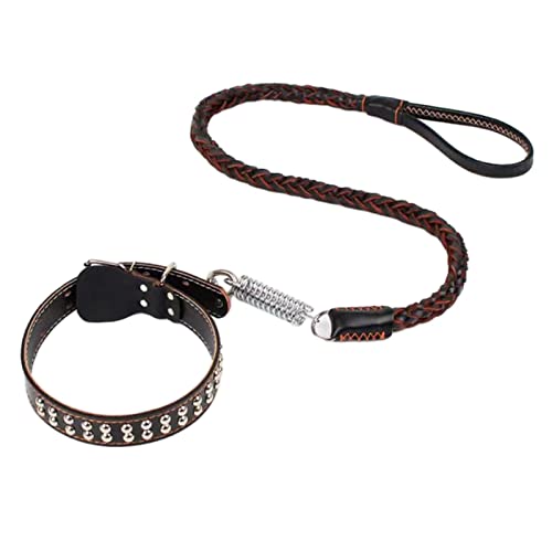 Colcolo Robustes Hundehalsband mit Metallhaken und bequemem Griff für große und mittelgroße Hunde - Schwarz von Colcolo