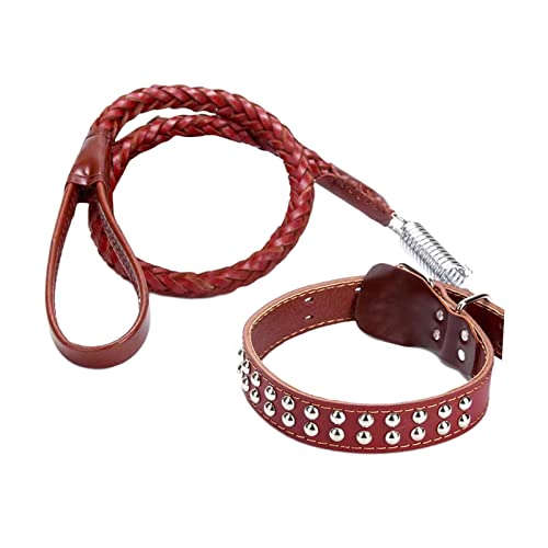 Colcolo Robustes Hundehalsband mit für große und mittelgroße Hunde, brauner großer Kragen von Colcolo