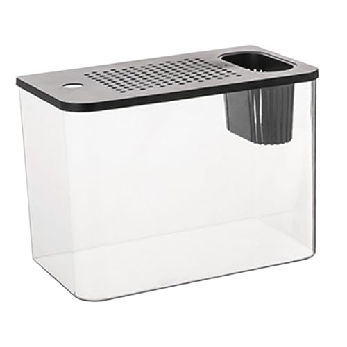 Colcolo Tank Terrarium Amphibien Fütterung Box Desktop Klare Sicht Klar, schwarzer Deckel von Colcolo