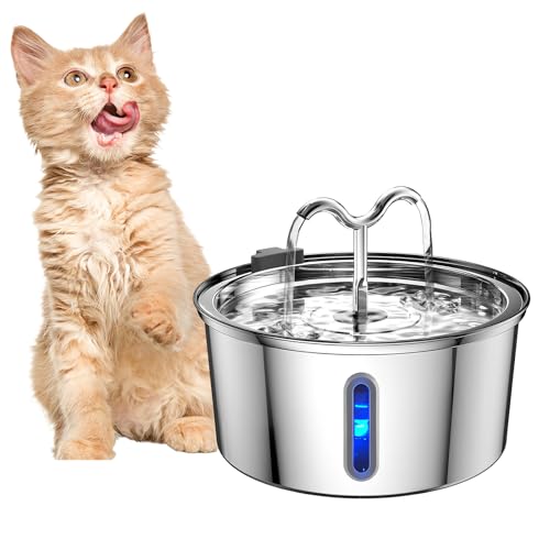 Katzenbrunnen Edelstahl: Trinkbrunnen für Katze - 3.2L Katzenbrunnen für Katzen - Ultraleiser Katzen Trinkbrunnen mit Wasserstandsfenster, Filter, LED Licht - Wasserbrunnen für Mehrere Haustiere von Colexy