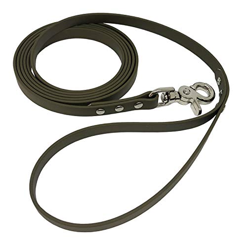 BIOTHANE® Hundeleine mit Handschlaufe - BETA 19 mm - [2 m] - olivegrün - OD522 von Collar & Leash