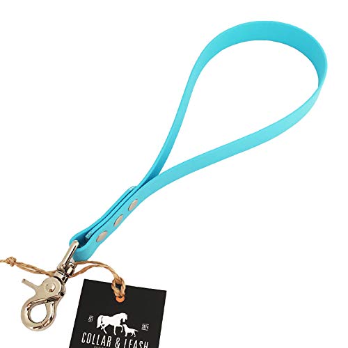 Collar & Leash C&L Kurzführer Hundeleine für Mittel - Große Hunde aus 19 mm BioThane® / 25 cm/himmelblau von Collar & Leash