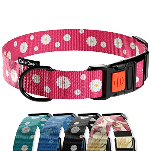 CollarDirect Hundehalsband mit Blumenmuster, Nylon, Blumendruck, verstellbar, für Hunde, kleine, mittelgroße und große Welpen (Rosa Gänseblümchen, 30-40 cm) von CollarDirect