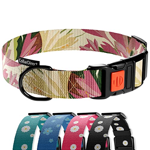 CollarDirect Hundehalsband mit Blumenmuster, Nylon, Blumendruck, verstellbar, für Hunde, kleine, mittelgroße und große Welpen (Toffee Gänseblümchen, 30-40 cm) von CollarDirect