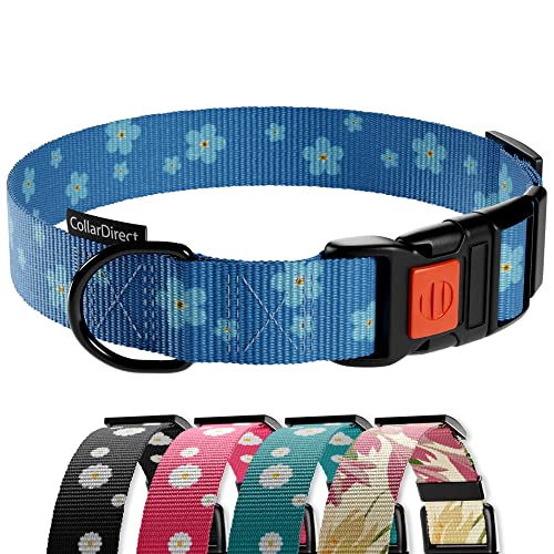 CollarDirect Hundehalsband mit Blumenmuster, Nylon, Blumendruck, verstellbar, für Hunde, kleine, mittelgroße und große Welpen (Blaue Gänseblümchen, 35-45 cm) von CollarDirect