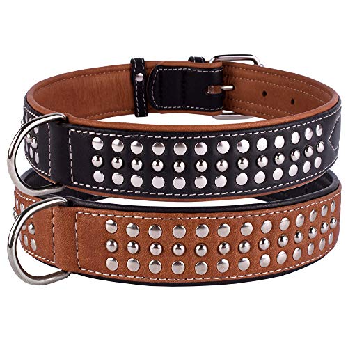 CollarDirect Hundehalsband mit Nieten, Leder, für kleine und mittelgroße Welpen, weich gepolstert, Braun/Schwarz (Schwarz, 58-63 cm) von CollarDirect