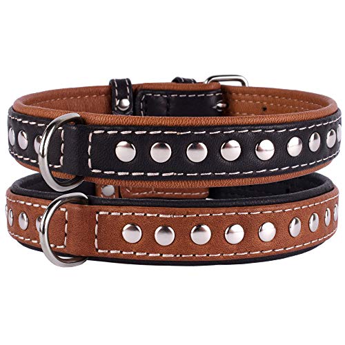 CollarDirect Hundehalsband mit Nieten, Leder, für kleine und mittelgroße Welpen, weich gepolstert, Braun/Schwarz (Schwarz, 33-36 cm) von CollarDirect