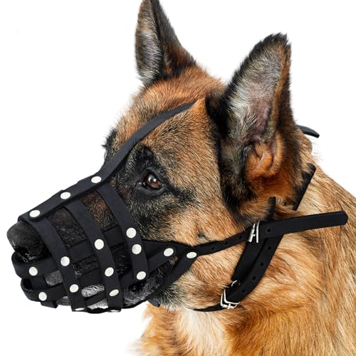 CollarDirect Maulkorb für Hunde, Deutscher Schäferhund, Dalmatiner, Dobermann, Setter, Lederkorb, mittelgroß, große Rassen, Schwarz, Braun (L, Schwarz) von CollarDirect