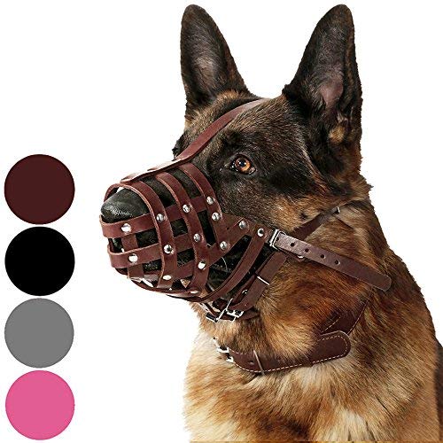 CollarDirect Maulkorb für Hunde, Deutscher Schäferhund, Dalmatiner, Dobermann, Setter, Lederkorb, mittelgroß, für große Rassen, Schwarzbraun (L, Kastanienbraun) von CollarDirect