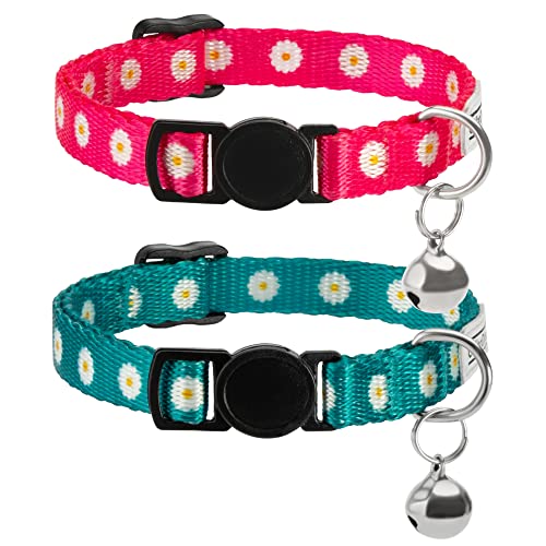 CollarDirect Katzenhalsband mit Glocke, Blumenmuster, 2er-Pack, Blumen-Set, verstellbare Sicherheits-Halsbänder für Katzen, Kätzchen (Rosa + Aquamarin) von CollarDirect