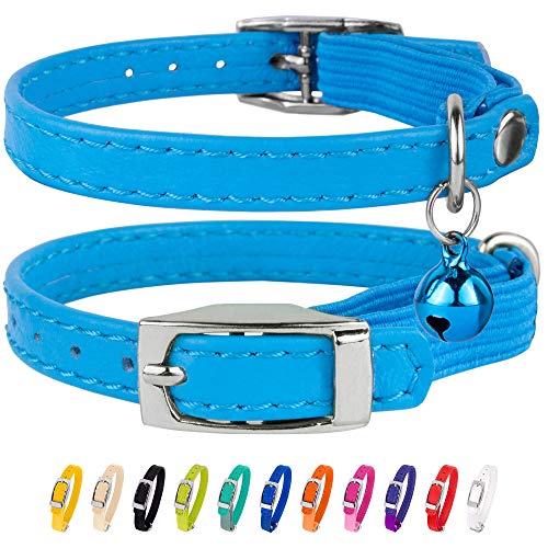 CollarDirect Leder Katzenhalsband mit Sicherheitsverschluss 21,5 cm Hellblau, Elastischer Gurt und Glocke für Kleine Katzen von CollarDirect