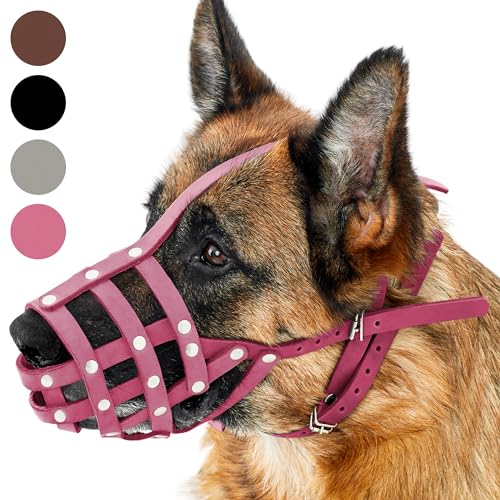 CollarDirect Maulkorb für Hunde, Deutscher Schäferhund, Dalmatiner, Dobermann, Setter, Lederkorb, mittelgroß, große Rassen, schwarz, braun (L, Pink) von CollarDirect