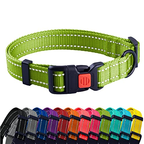 CollarDirect Reflektierendes Hundehalsband für kleinen, mittelgroßen, großen Hund, Welpen mit Schnellverschluss, Hündin, Rüde, 48 Sorten, Nylon Wasserfest von CollarDirect