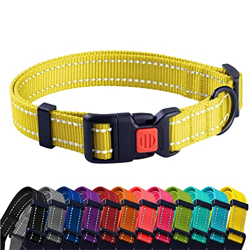 CollarDirect Reflektierendes Hundehalsband für kleinen, mittelgroßen, großen Hund, Welpen mit Schnellverschluss, Hündin, Rüde, 48 Sorten, Nylon Wasserfest von CollarDirect