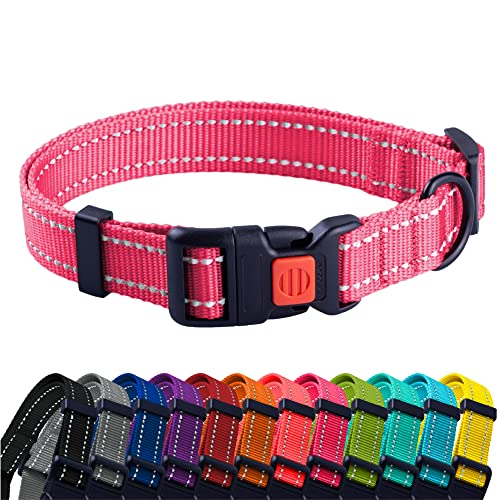 CollarDirect Reflektierendes Hundehalsband für kleinen, mittelgroßen, großen Hund, Welpen mit Schnellverschluss, Hündin, Rüde, 48 Sorten, Nylon Wasserfest von CollarDirect