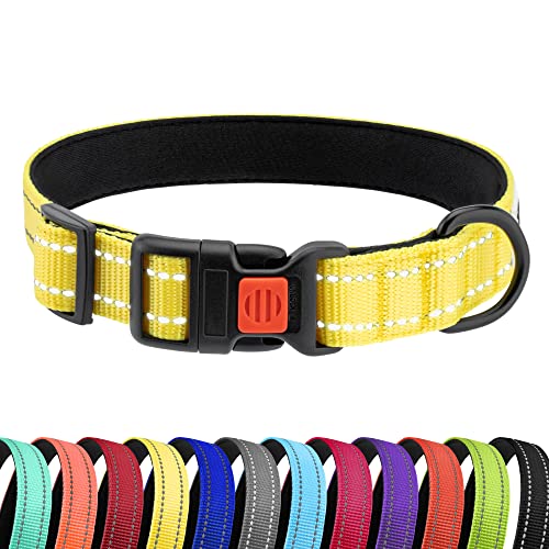 CollarDirect Reflektierendes Hundehalsband für kleinen, mittelgroßen, großen Hund, Welpen mit Schnellverschluss, Hündin, Rüde, 48 Sorten, Nylon Wasserfest von CollarDirect