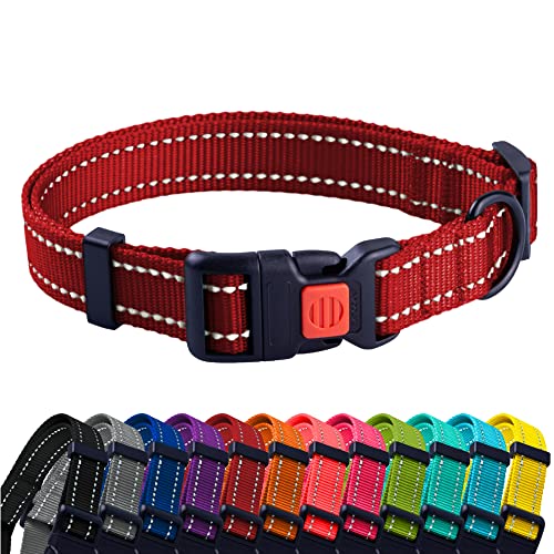 CollarDirect Reflektierendes Hundehalsband für kleinen, mittelgroßen, großen Hund, Welpen mit Schnellverschluss, Hündin, Rüde, 48 Sorten, Nylon Wasserfest von CollarDirect