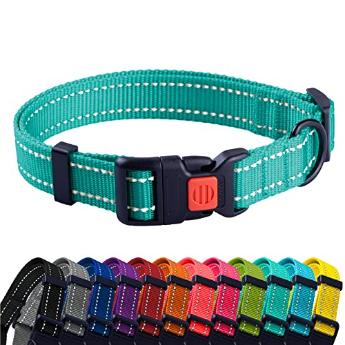 CollarDirect Reflektierendes Hundehalsband für kleinen, mittelgroßen, großen Hund, Welpen mit Schnellverschluss, Hündin, Rüde, 48 Sorten, Nylon Wasserfest von CollarDirect