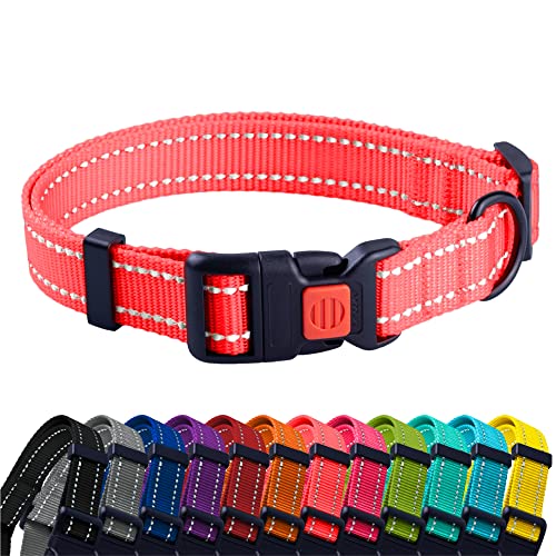 CollarDirect Reflektierendes Hundehalsband für kleinen, mittelgroßen, großen Hund, Welpen mit Schnellverschluss, Hündin, Rüde, 48 Sorten, Nylon Wasserfest von CollarDirect