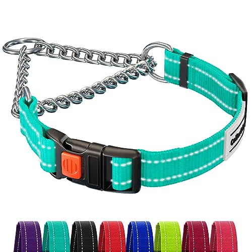 CollarDirect Reflektierendes Hundehalsband, Martingale-Halsbänder, seitliche Schnalle, Kette Training, verstellbare Haustier Halsbänder (Minzgrün, L, 41-54 cm) von CollarDirect