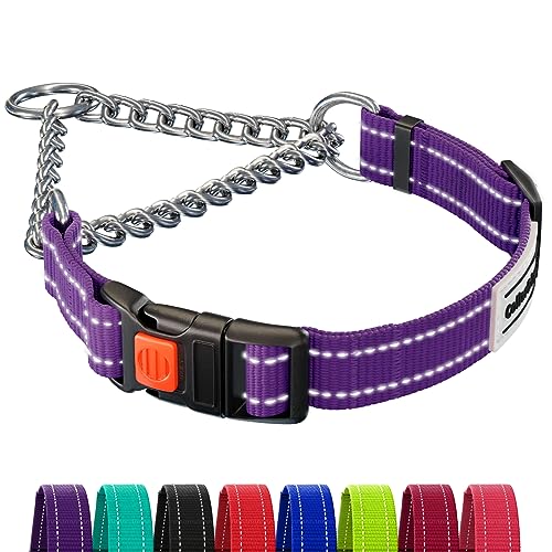 CollarDirect Reflektierendes Hundehalsband, Martingale-Halsbänder, seitliche Schnalle, Kette Training, verstellbare Haustier Halsbänder (Violett, M, 35-42 cm) von CollarDirect