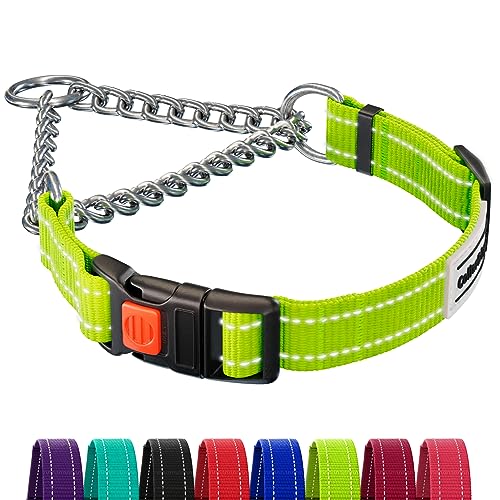 CollarDirect Reflective Dog Collar Martingale Collars Side Release Buckle Chain Training Adjustable Pet Collars (L, Neck Size 17"-22", Lime Green) von CollarDirect