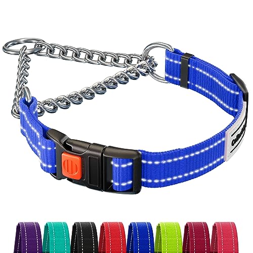 CollarDirect Reflektierendes Hundehalsband, Martingale-Halsbänder, seitliche Schnalle, Kette Training, verstellbare Haustier Halsbänder (Blau, S, 30-37 cm) von CollarDirect