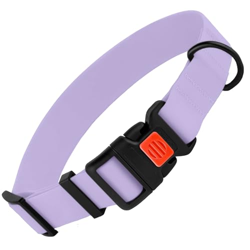 CollarDirect Verstellbares Hundehalsband, bunt, wasserdicht, für kleine, mittelgroße und große Hunde, Welpen, 8 Farben (25,4-33 cm, Lila) von CollarDirect